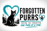 Forgotten Purrs