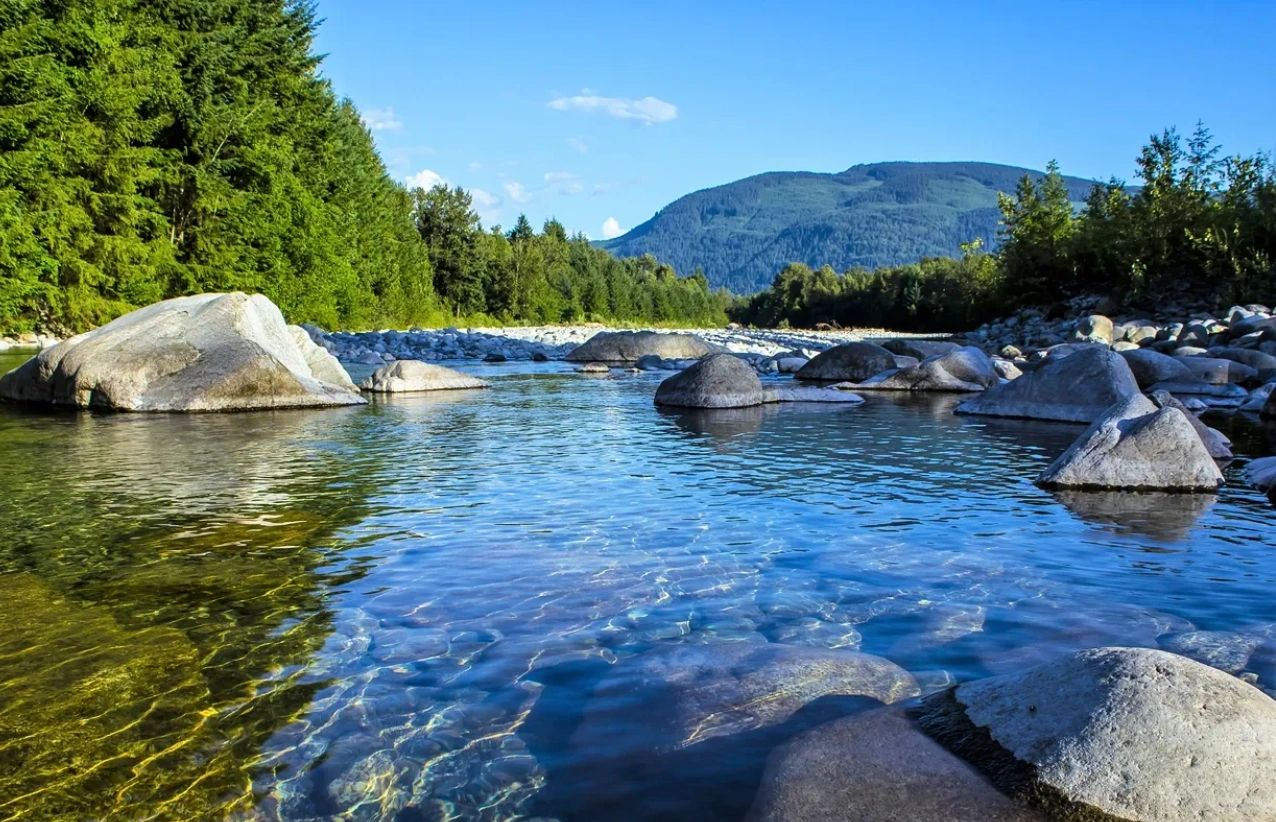 Investments Bison Creek Wealth Management