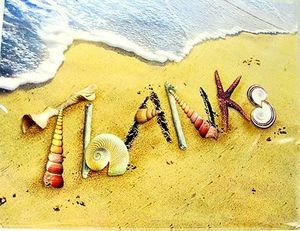The word 'Thanks' spelled out in seashells on a sandy beach near the waves.
