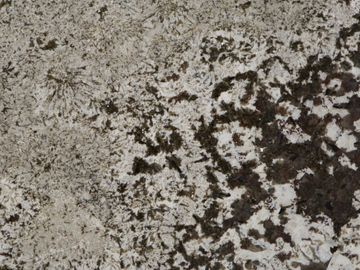 Aspen White Granite Countertops