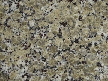 Butterfly Beige Granite Countertops