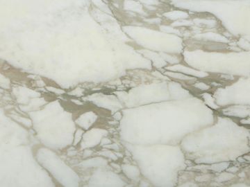 Calacatta Gold Vein Marble Countertops