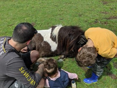 PTSD.   Equine Assisted Therapy Victoria.    Equine Assisted Therapy Melbourne.   Equine Therapy Mel