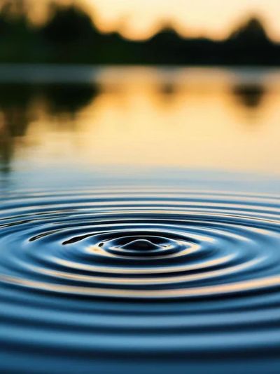 Ripples spreading across calm water at sunset.