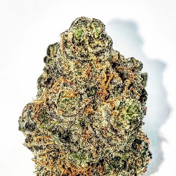 Macaroonz, Mac1, King Cake, Exclusive Seeds, Exclusiveseeds, Feminized Seeds, Cannabis Seeds