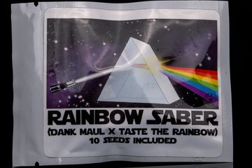 Rainbow Saber (Dank Maul x Taste the Rainbow) – 80/20 