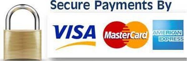 Padlock with secure payment logos for Visa, MasterCard, and American Express.