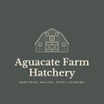 Aguacate Farm Hatchery