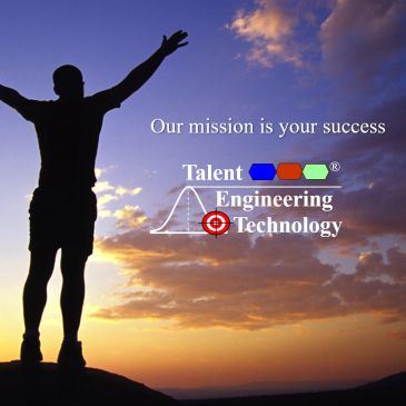 Silhouette celebrating success at sunset with engineering technology message.