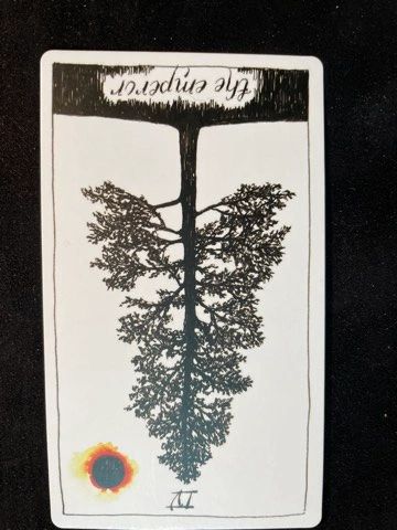 Reversed Emperor Card:  Wild Unknown Tarot deck. Large evergreen tree with a strong central trunk. 