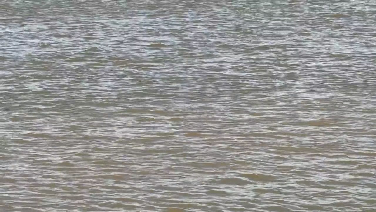 https://img1.wsimg.com/isteam/ip/8299eeb3-42f1-404a-bcdd-6a05558d207e/thumbnails/thumbnail-3ac6f713-fb3e-4f1a-a9d7-b4bb3fef4bfe.png