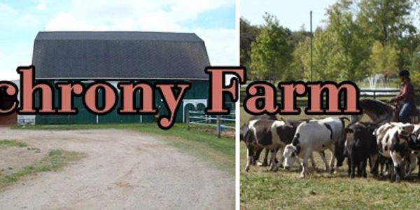 For my 50th I am tring to fullfill Synchrony Farm's wish list.  Julie Arkison started therapeutic ri