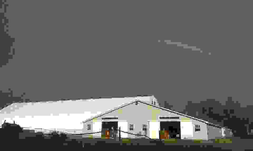 About Us Terry's Equine Foundation