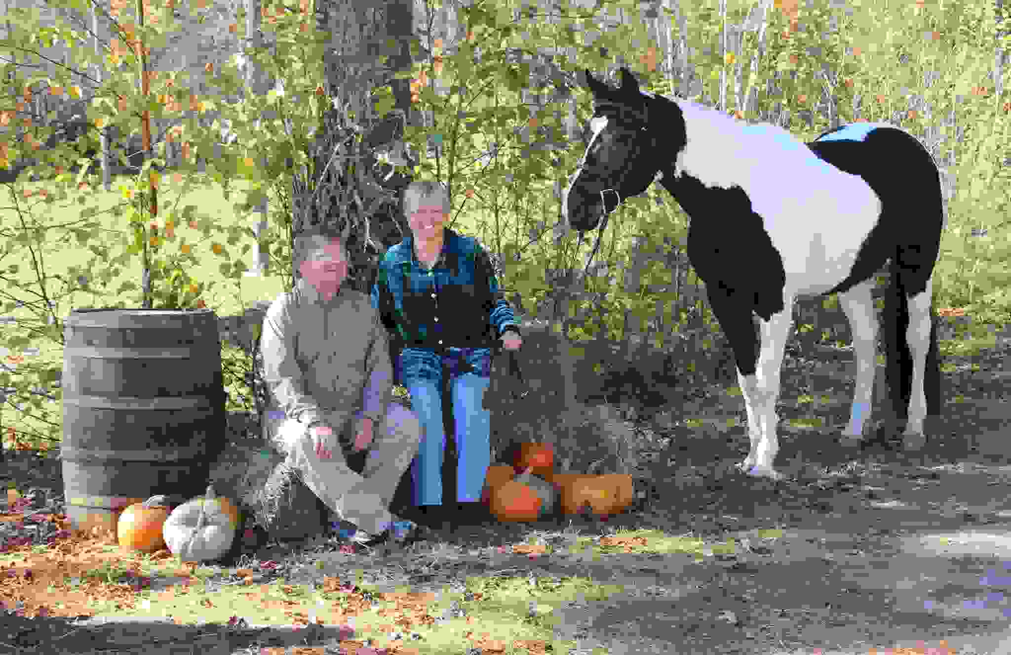 About Us Terry's Equine Foundation