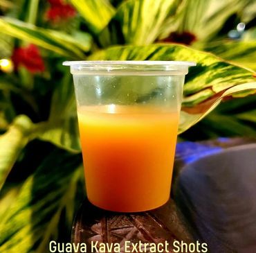 Tiki Tide Kava Bar Fort Lauderdale - Kava shots