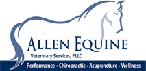 Allen Equine Veterinary Services