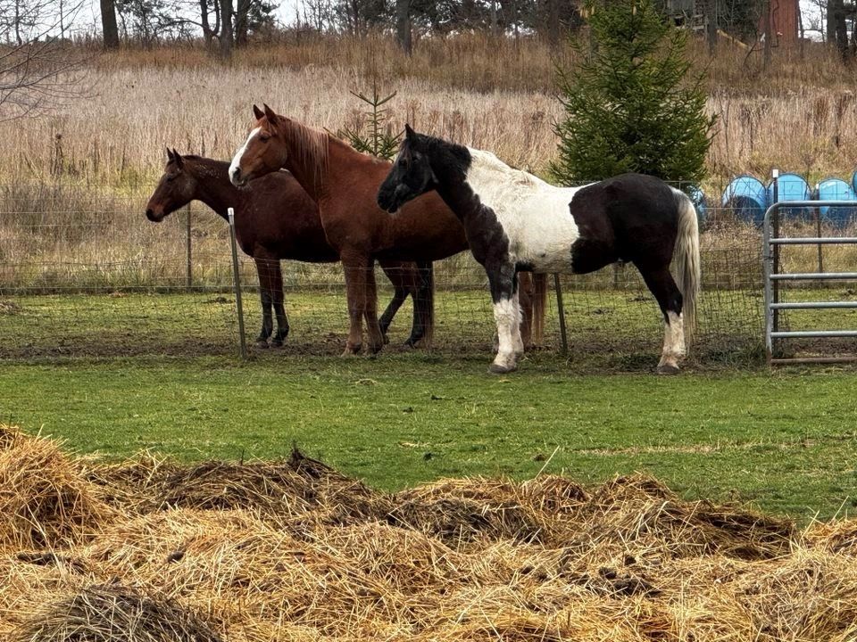 fun-farm-events
