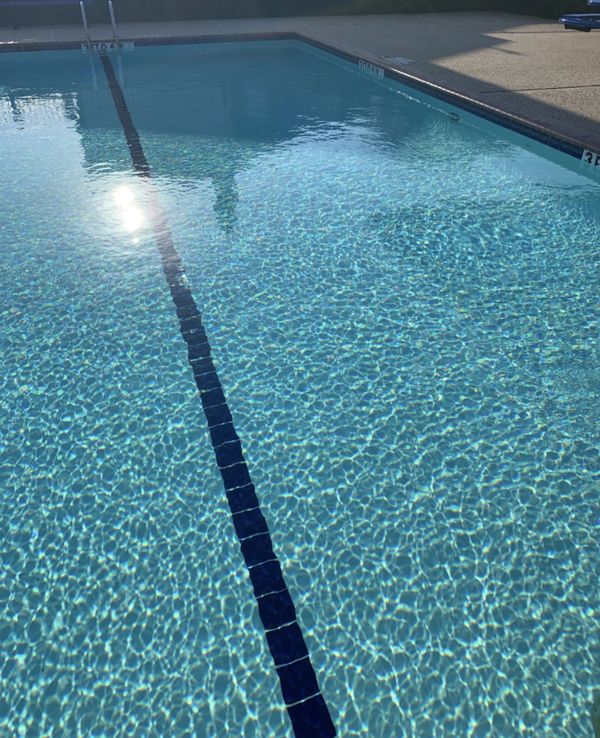 Five Star Pools Pool Cleaning Porter Service