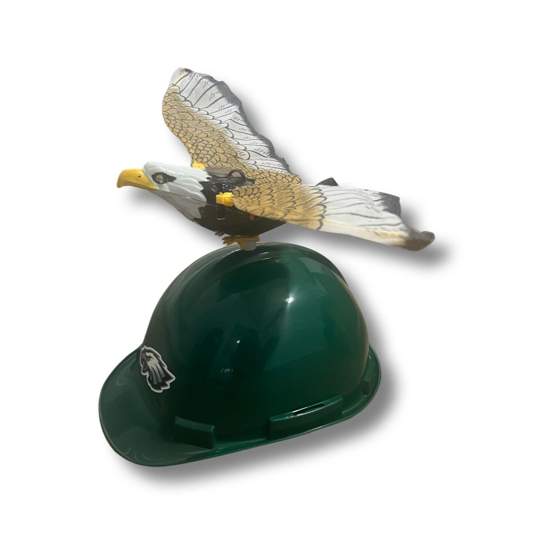 Philadelphia Eagles Officially Licensed Hard Hat