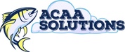 ACAA Solutions, Salesforce Implementation and Consultancy Firm