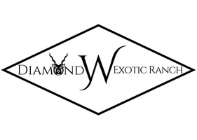 Diamond W Exotic Ranch
