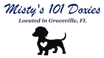 Misty's 101 Doxies


