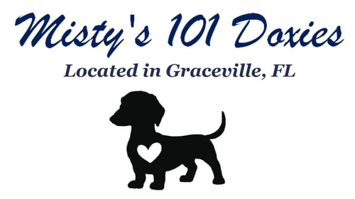 Misty's 101 Doxies


