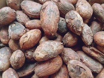 Granos de cacao secos apilados.