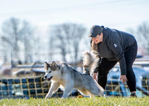A woman plays fetch with her dog in a sunny park.