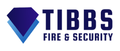 Welcome to TIBBS