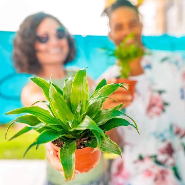 Two people holding small potted green plants with smiles.