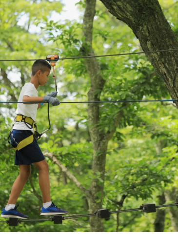 Boy crossing a rope bridge in an adventure park.