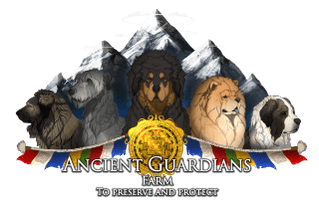 Ancient Guardians