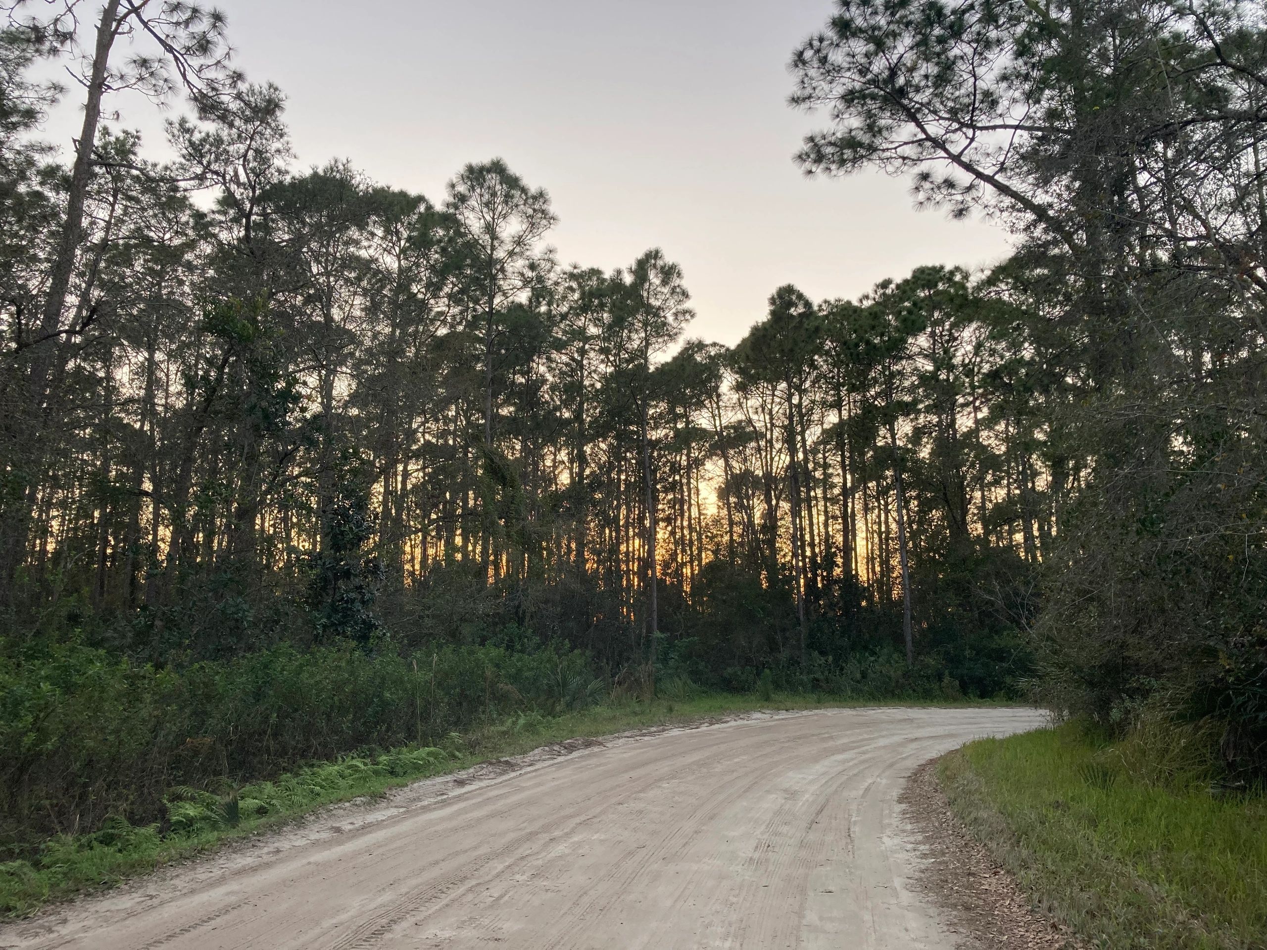 Lake harney estates association