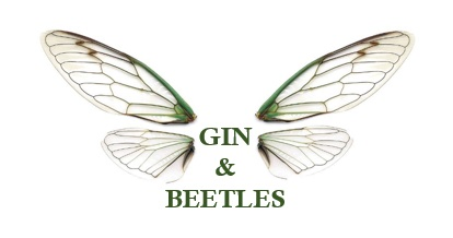 Gin & Beetles, botanical Design & Maintenance 
