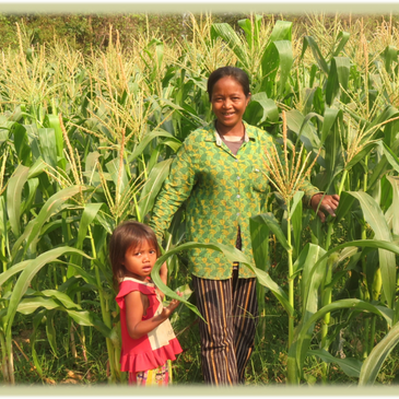 A smiling woman and a young girl stand in a lush green cornfield.