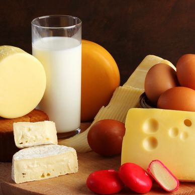 A variety of dairy products including cheese, milk, eggs, and radishes on a wooden board.