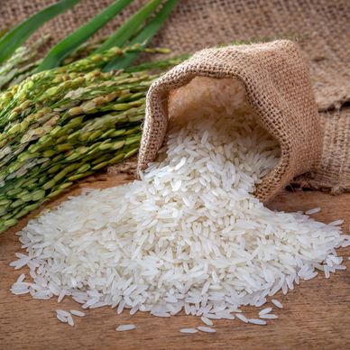 White rice spilling from a burlap sack with green rice stalks beside it.
