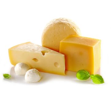 Variety of cheeses with fresh basil leaves on white background.