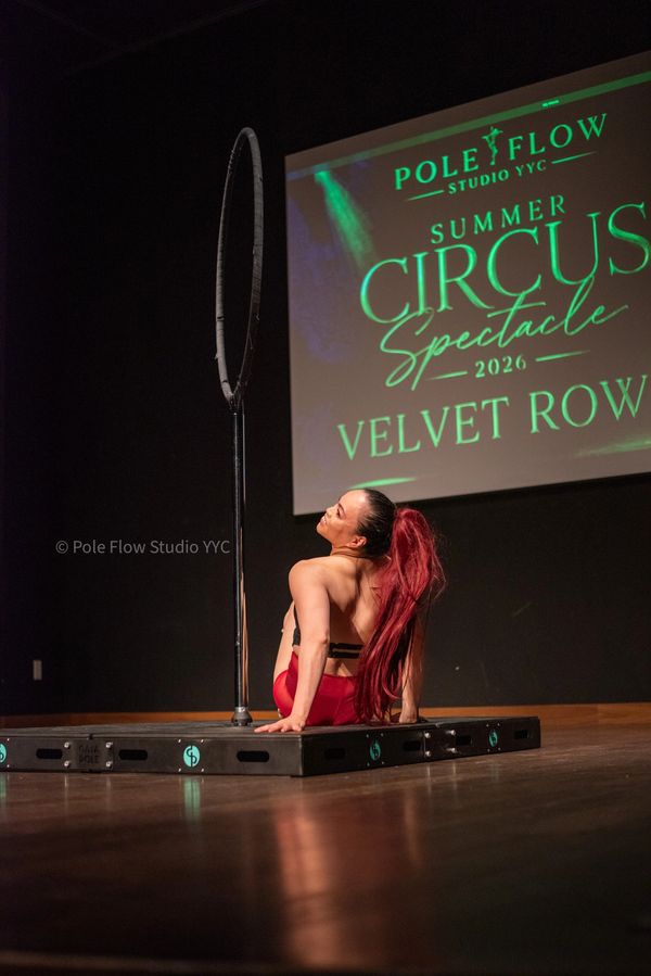 Student Pole and Aerial Hoop performer showcasing artistry strength, confidence and fitness growth