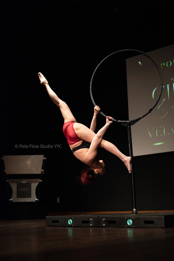 Student Pole and Aerial Hoop performer showcasing artistry strength, confidence and fitness growth