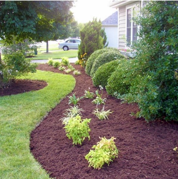 Crushed Pine Needle Mulch - Mulch Manufacturing