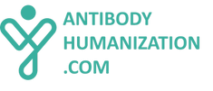 Antibody humanization