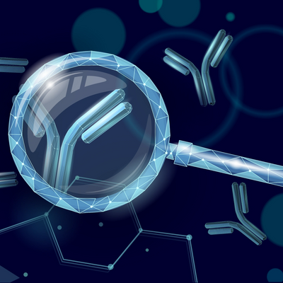 Magnifying glass highlighting an antibody molecule.