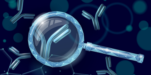 Magnifying glass over antibody image to indicate demystifying antibody humanization.