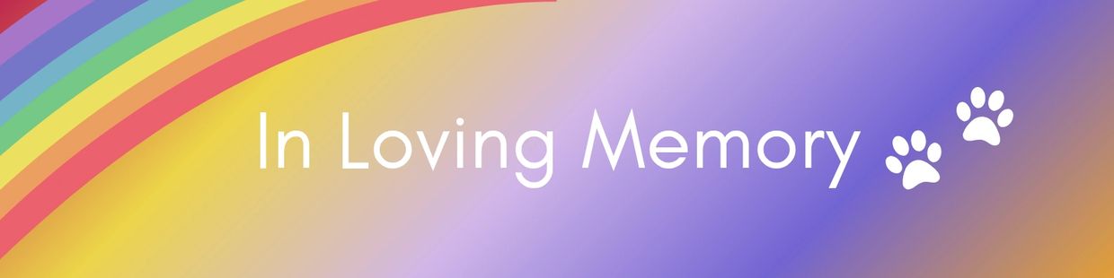 Colorful rainbow background with 'In Loving Memory' and paw prints.