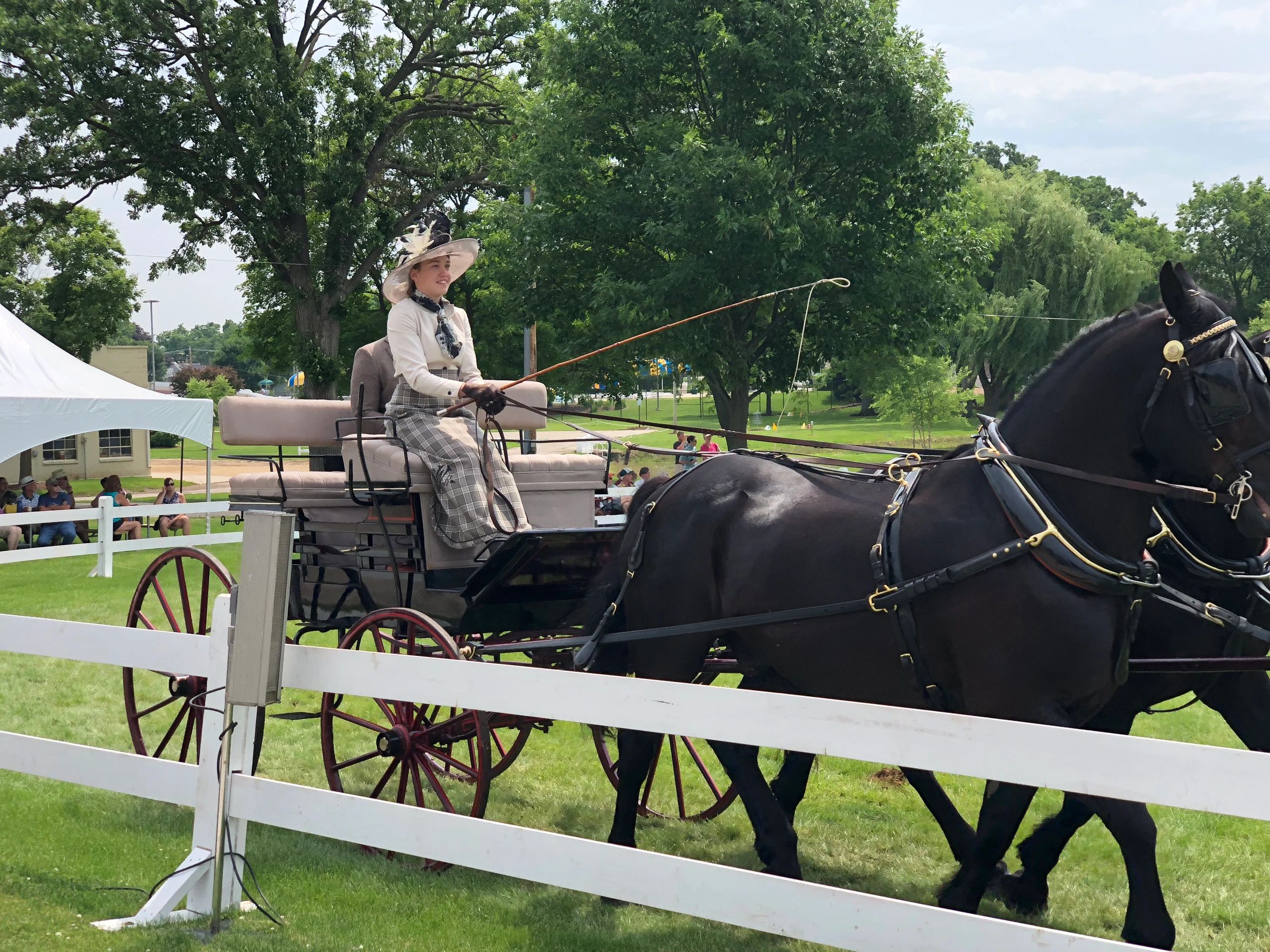Putting the horse before the cart