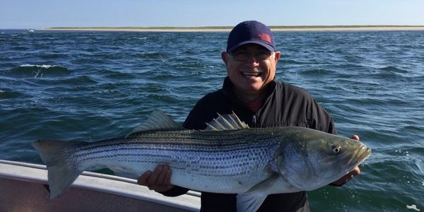 Fishing Guide Cape Cod Striper
