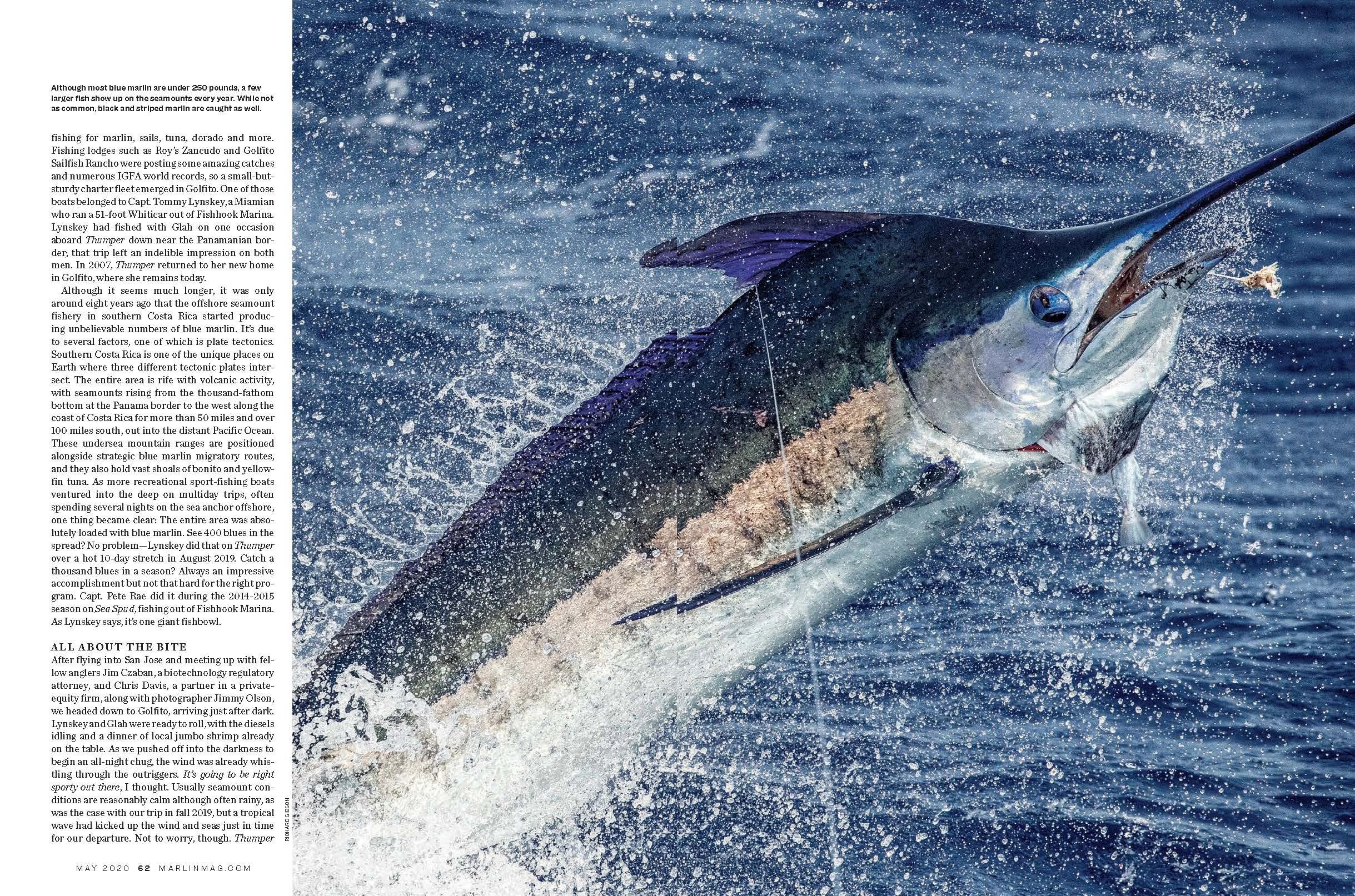 Marlin Magazine Subscription 