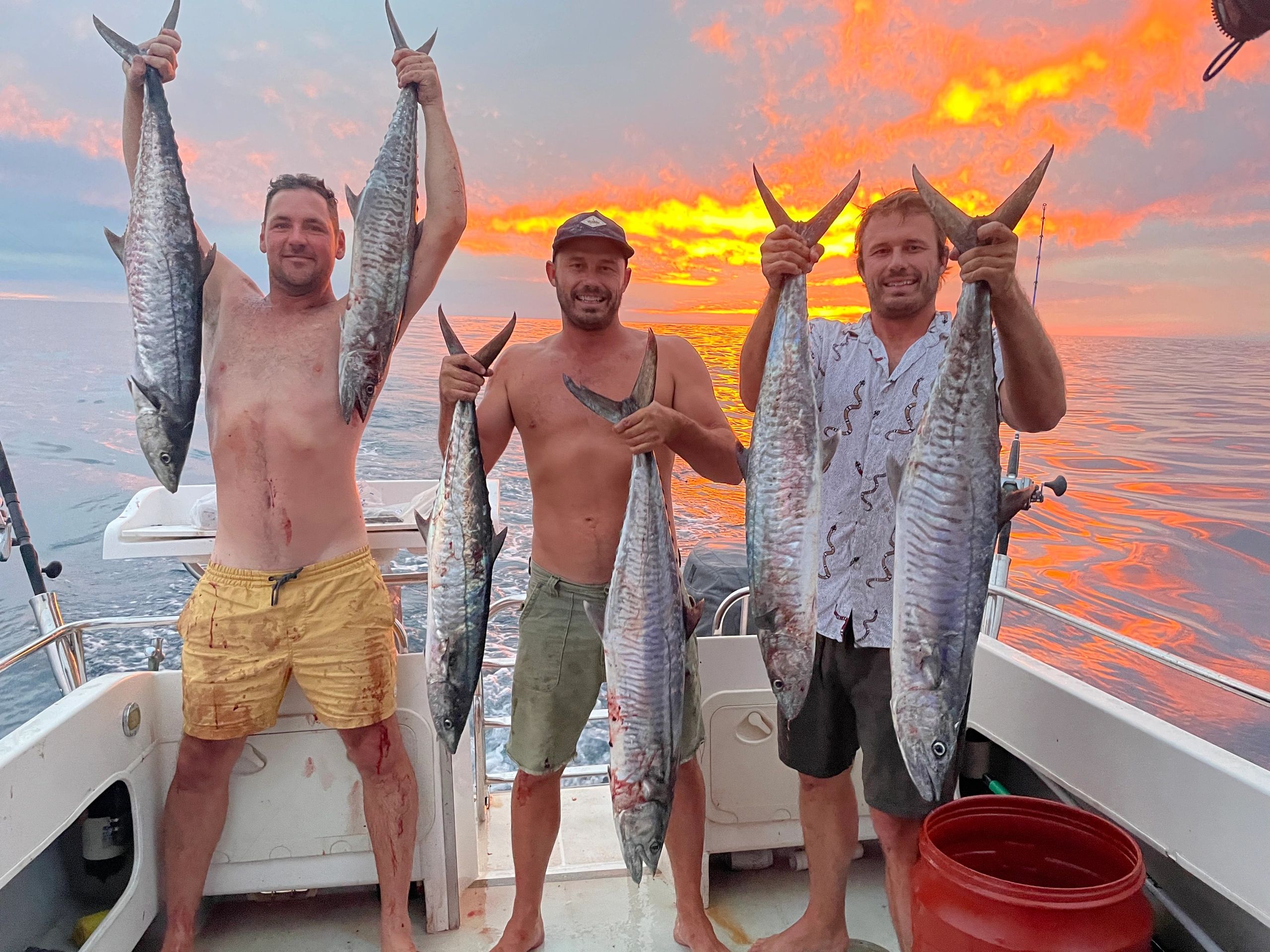 exmouth mackerel fishing trips